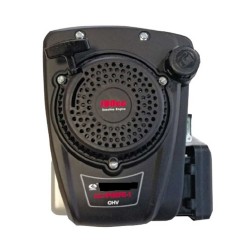 Rato RV170-S  6 HP Vertical Shaft 
