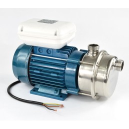 Αντλία μεταγγίσεως Tellarini ALM50 1400 rpm 2 hp 2" 230V άξονας ανοξείδωτος (INOX 316) για γάλα, κρασί, λάδι, χυμούς Αντλία μεταγγίσεως Tellarini ALM50 1400 rpm 2 hp 2" 230V άξονας ανοξείδωτος (INOX 316) για γάλα, κρασί, λάδι, χυμούς