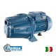 Surface Electric water Pump Cam200 pentax Italy 220V  2HP Water Electric pumps
