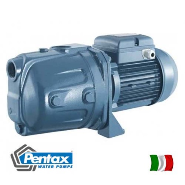 Surface Electric water Pump Cam140 pentax Italy 220V 1,5HP Water Electric pumps