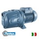 Surface Electric water Pump Cam140 pentax Italy 220V 1,5HP Water Electric pumps