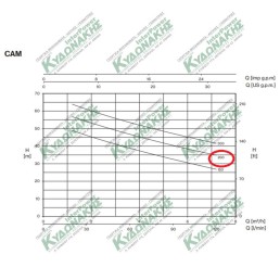 Αντλία ηλεκτρική επιφανείας CAM200 αυτόματη Pentax Ιταλίας 220V 2HP
