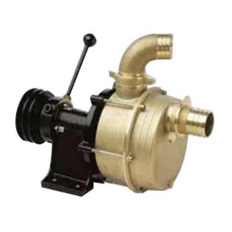 Tellarini 541 infusion pump with pulley & clutch 1"