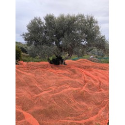 Olive net titan 100gsm 6x12m