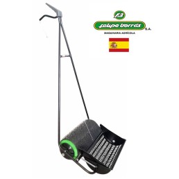 Olive collector small Felipe Borras