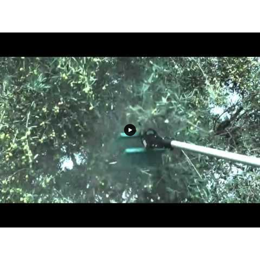 Ραβδιστική Βέργα 12 Volt Λανάρα CAMPAGNOLA ELEKTRA Ιταλίας ΕΛΑΙΟΡΑΒΔΙΣΤΙΚΑ ΜΗΧΑΝΗΜΑΤΑ 