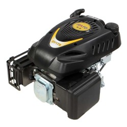 Rato RV170-S  6 HP Vertical Shaft 