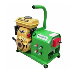 Φορητή γεννήτρια ελαιοραβδιστικών 12 volt/70A Interpower 2,5HP έως 2 βέργες