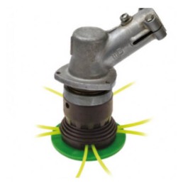 HEAD QUEEN POL Universal