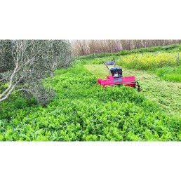 Καταστροφέας βενζίνης αυτοκινούμενος ARCHER Αυστραλίας MG 100 - 15 HP με σφυριά