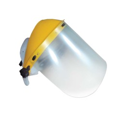 Protection Mask