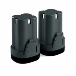 Pruning Battery Chainsaw Bluebird CS 22-06 with 2 Batteries 16.8V 2.5Ahr