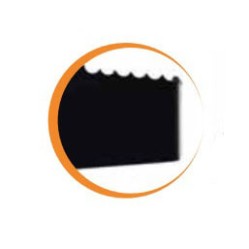 Disc 2 teeth 305mm Shark 